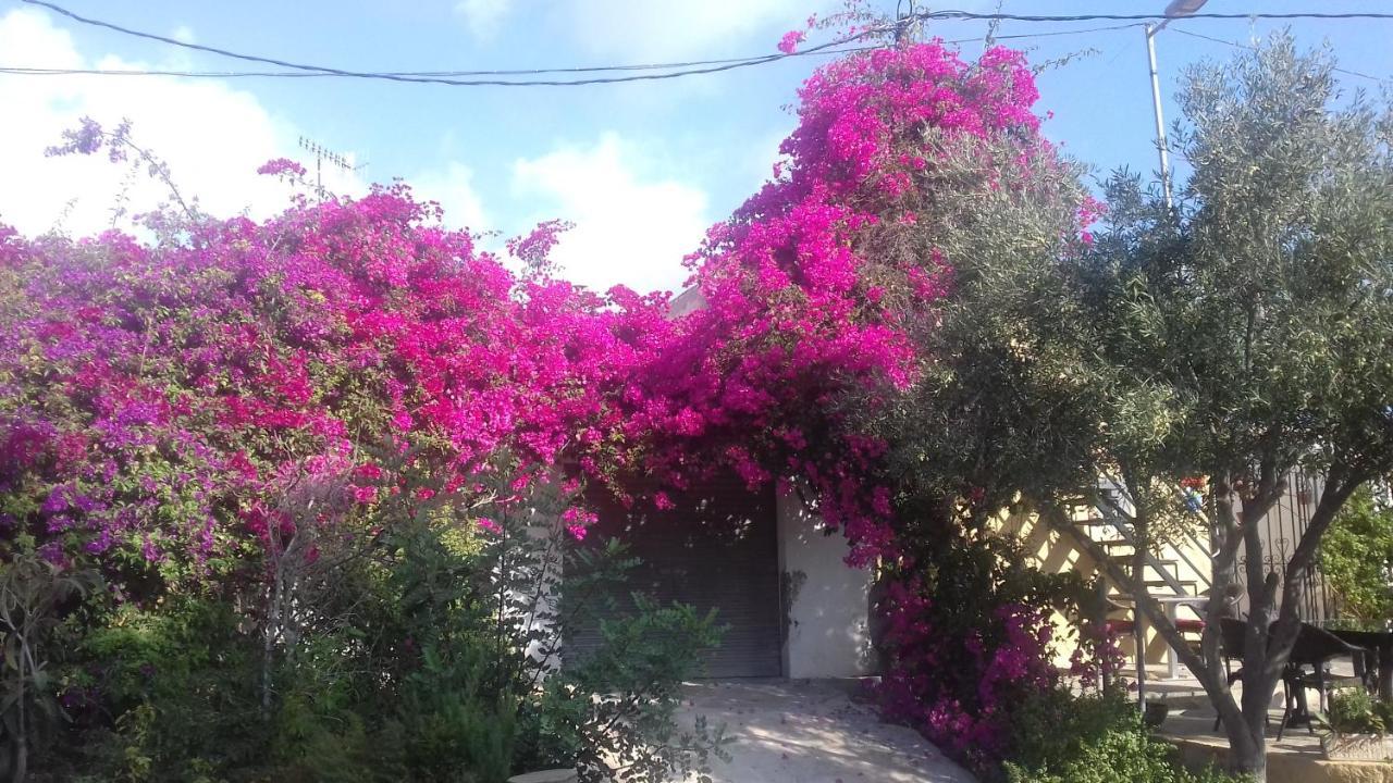 Casa Los Cerezos Villamartin  Eksteriør bilde